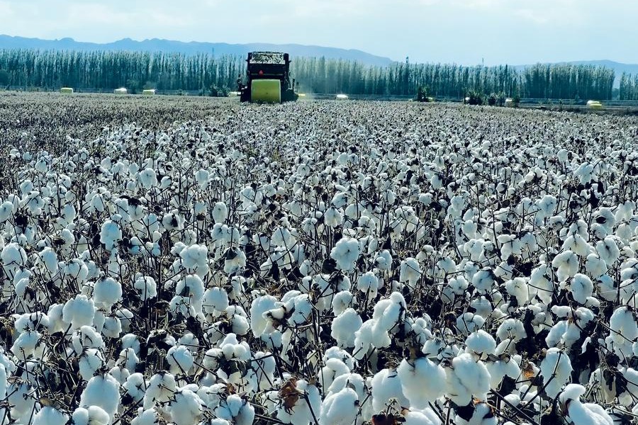  French video program accusing Chinese company of 'forced labor' exposed as fabrications