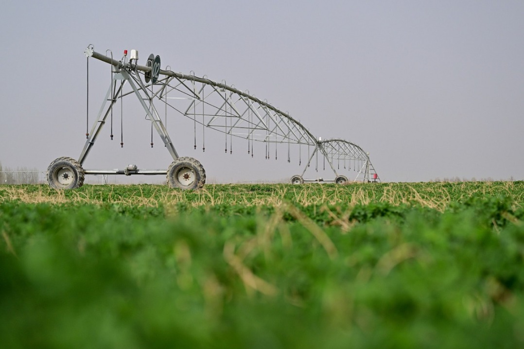 Taklimakan Desert of China's Xinjiang encircled with green belt